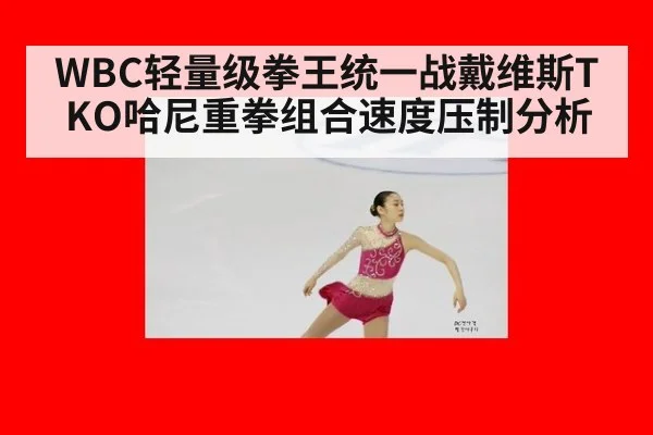 WBC轻量级拳王统一战戴维斯TKO哈尼重拳组合速度压制分析